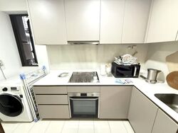 The Visionaire (D27), Condominium #464677071